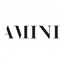 AMINI